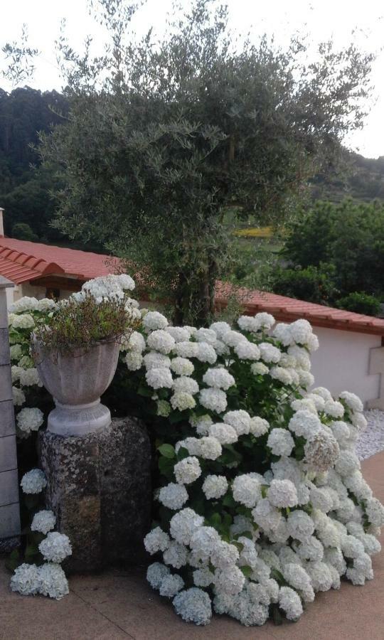 Casa Freitas Villa Paredes de Coura Luaran gambar